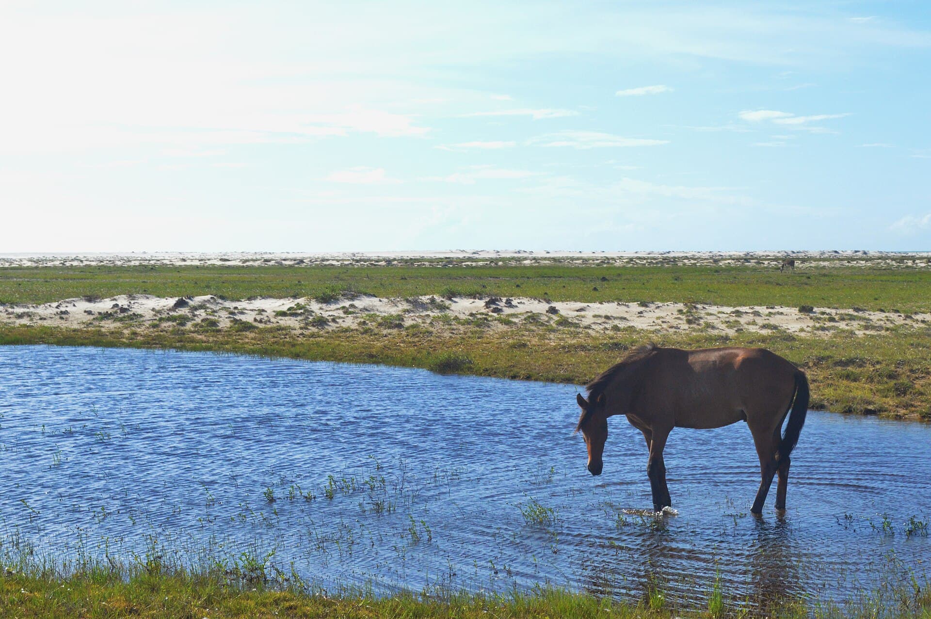 Paisagem de Atins