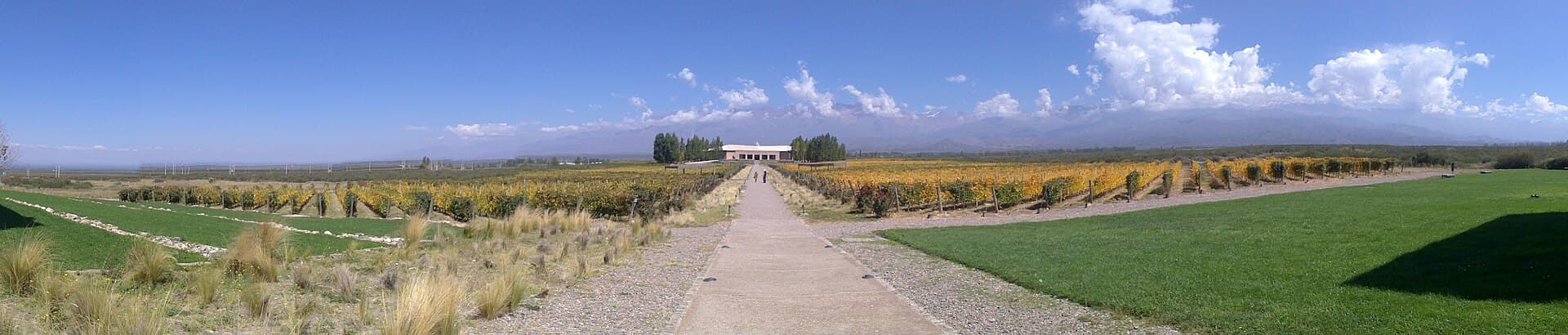 Paisagem de Mendoza
