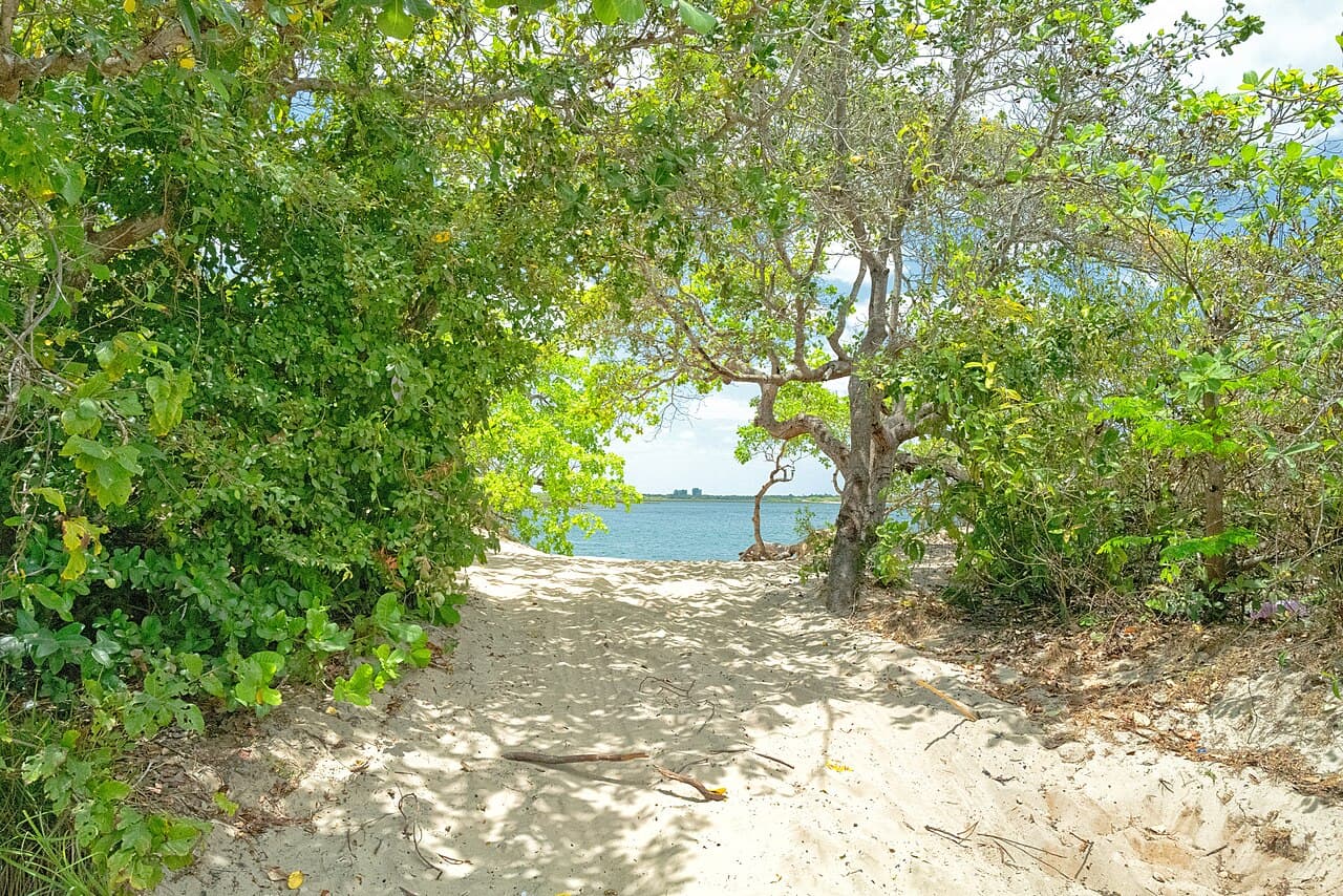 Paisaje de Preá